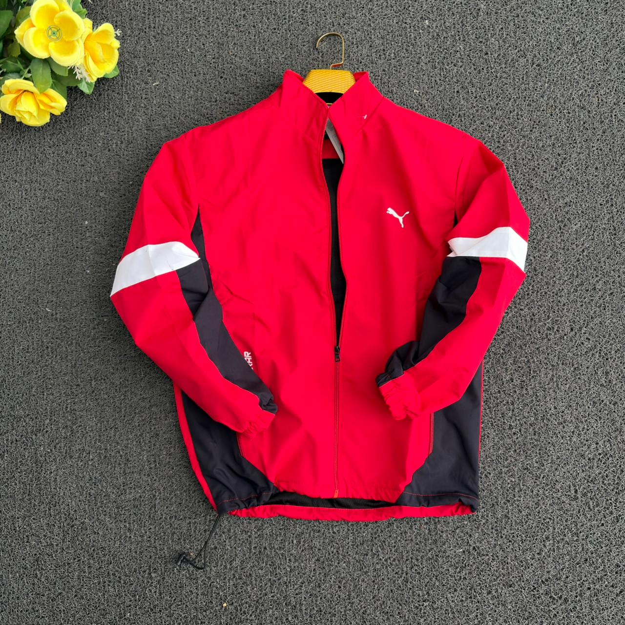 Wind Cheater Zipper Jacket for sale @450 only