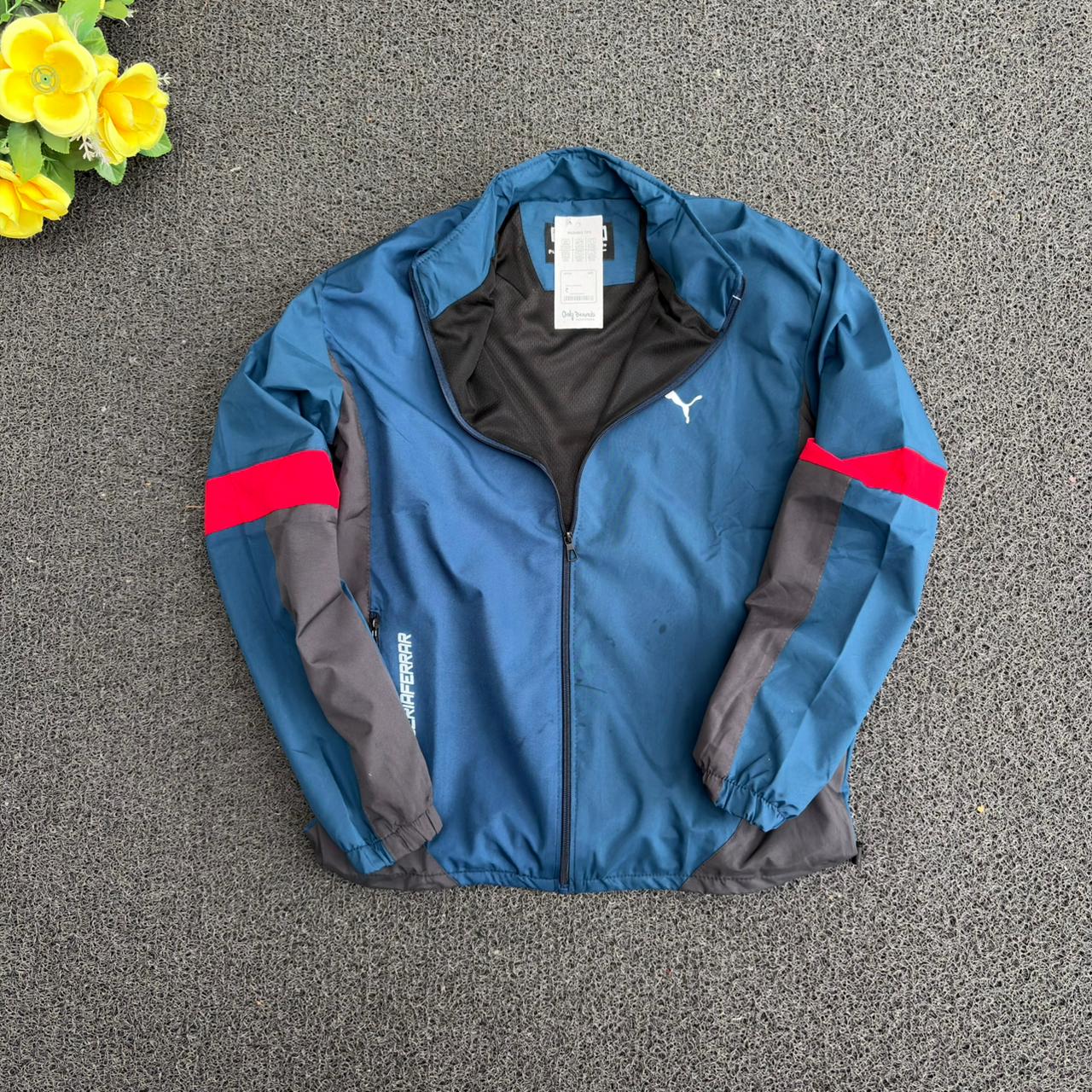 Wind Cheater Zipper Jacket for sale @450 only